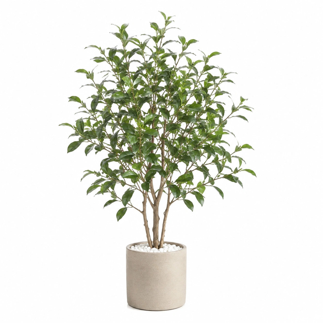 Albero artificiale 150 cm con foglie verdi in vaso cilindrico per interni