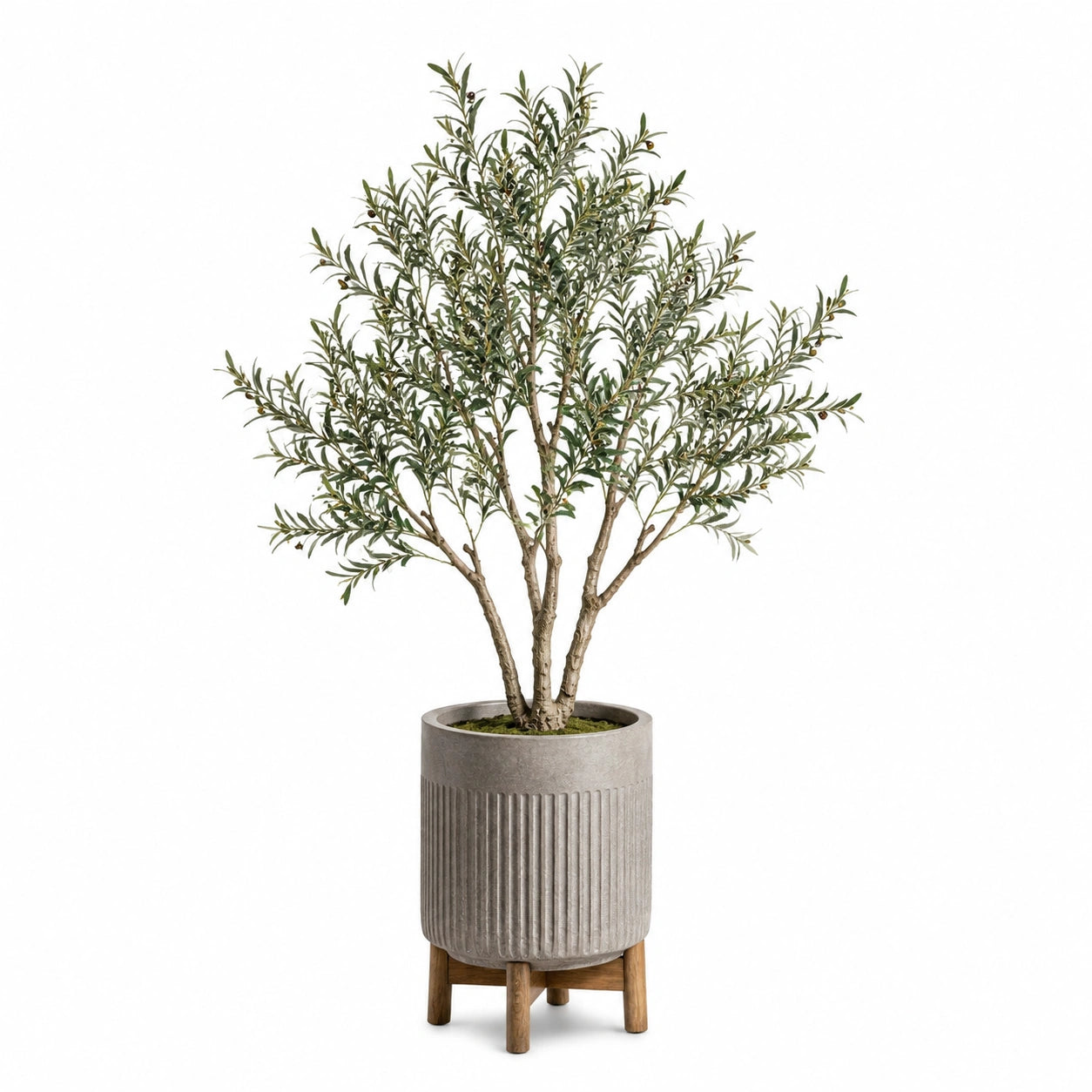 Albero artificiale di ulivo 180 cm con vaso grigio in cemento per interni