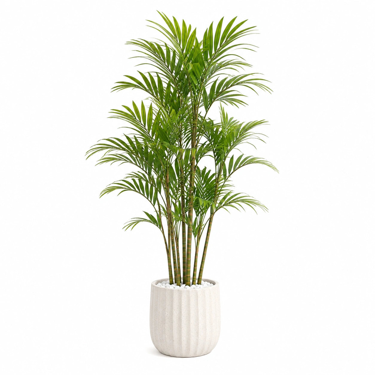 Palma artificiale 180 cm verde con vaso in ceramica bianco per interni