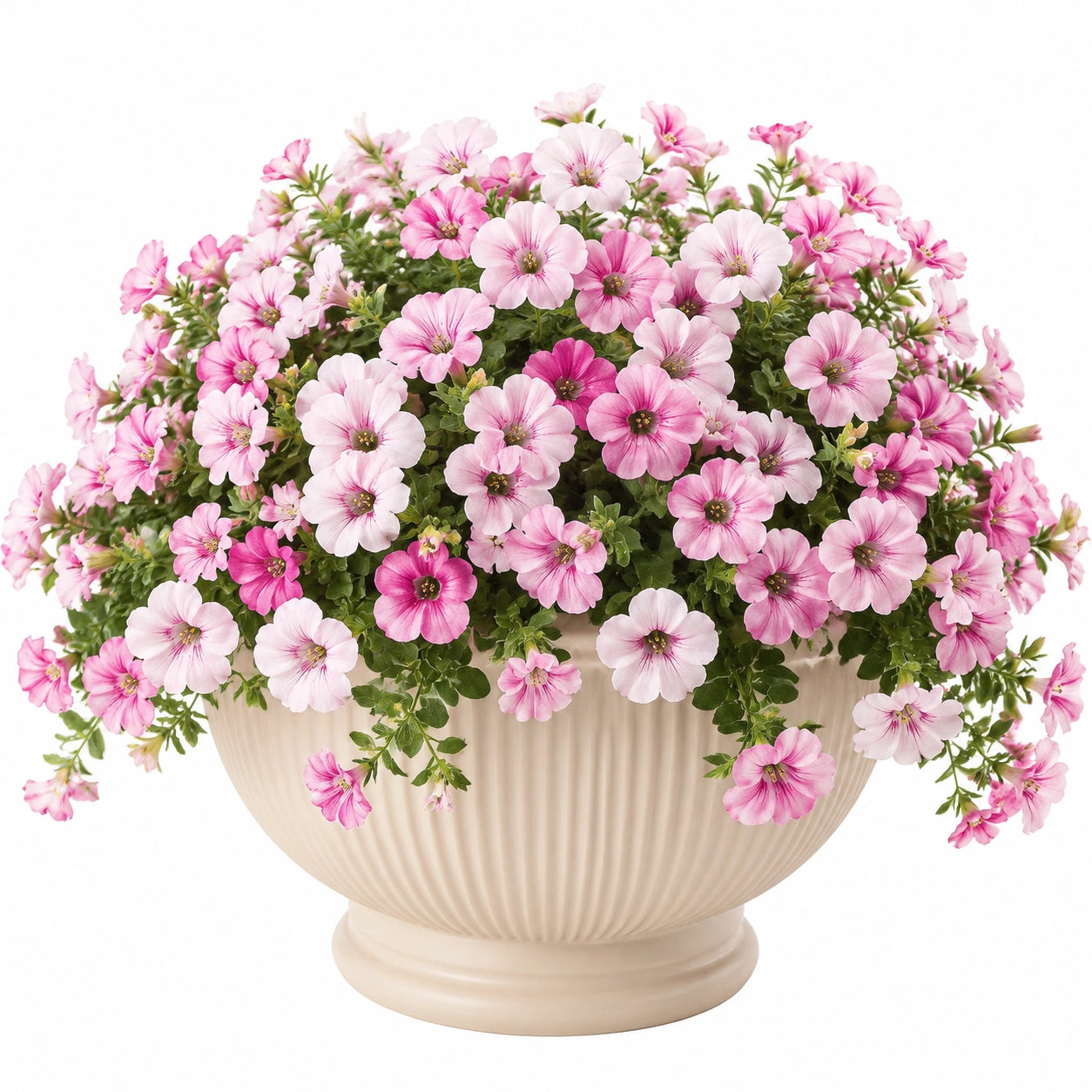 Pianta artificiale fiorita in vaso 40 cm rosa e verde per interni
