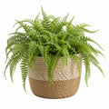 Pianta artificiale felce 50 cm verde in fibra intrecciata decorativa