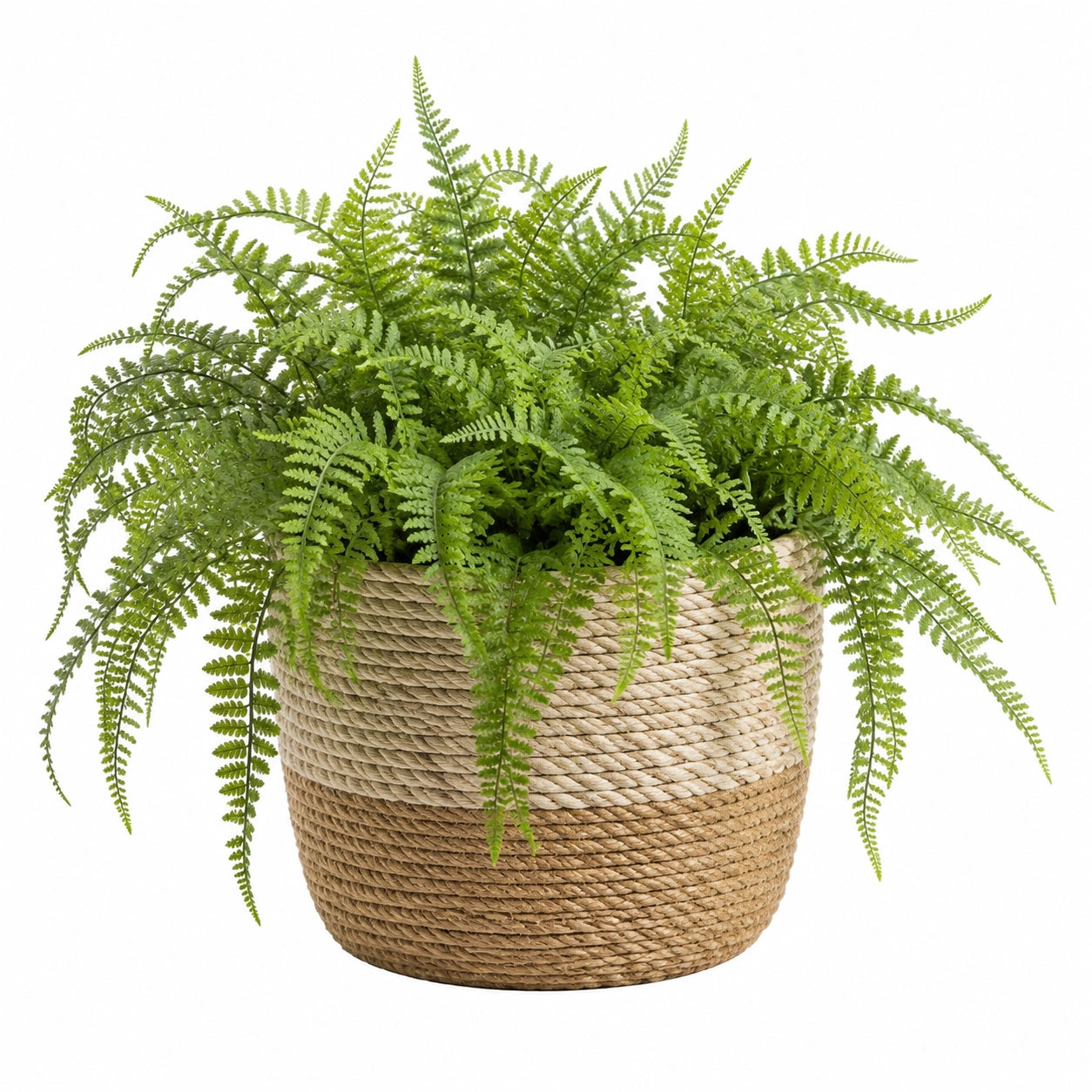 Pianta artificiale felce 50 cm verde in fibra intrecciata decorativa