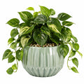 Pianta verde artificiale pothos 65 cm in plastica verde con vaso in ceramica decorativo