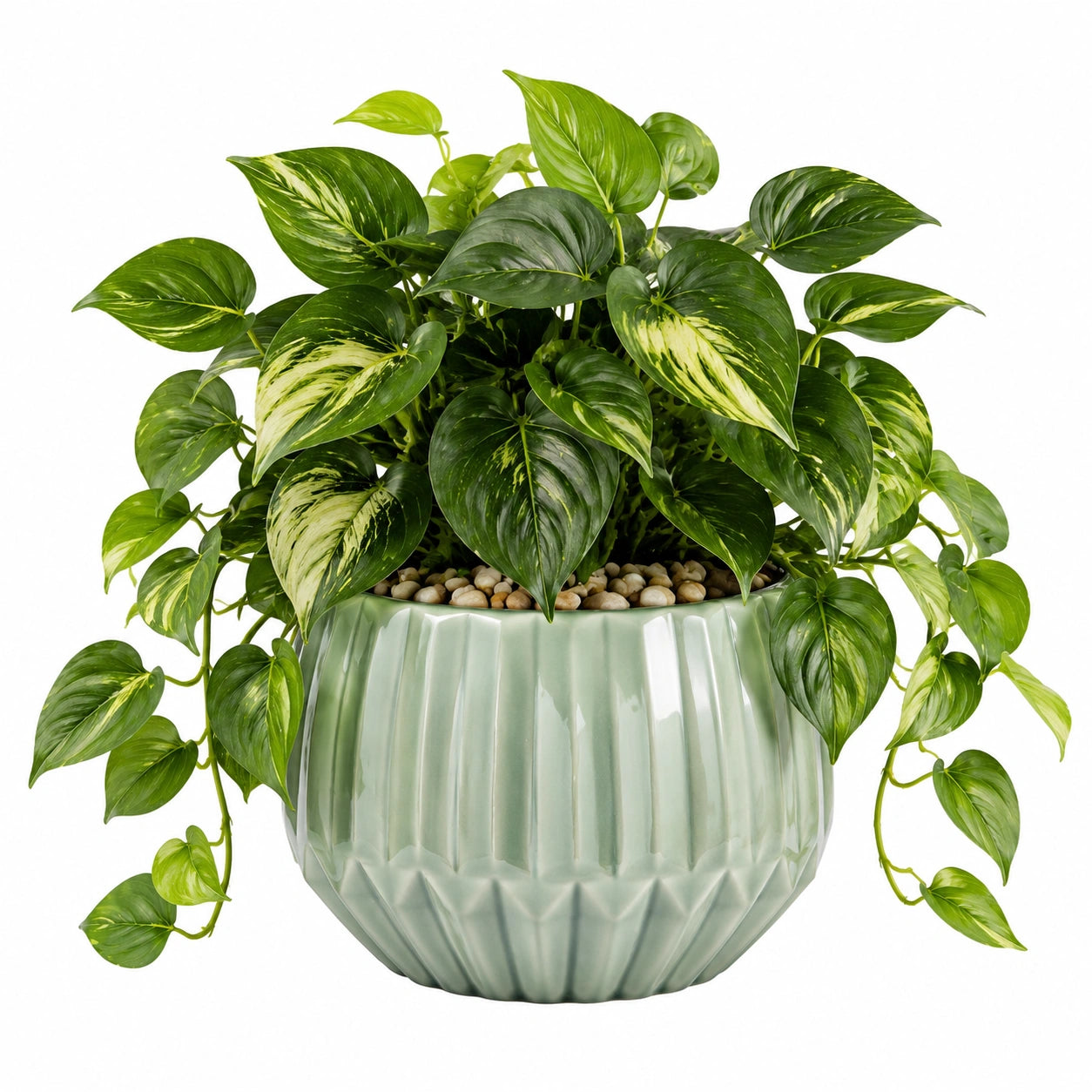 Pianta verde artificiale pothos 65 cm in plastica verde con vaso in ceramica decorativo