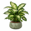 Pianta artificiale a foglia variegata 90 cm in plastica verde con vaso decorativo per interni