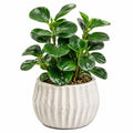 Pianta artificiale in vaso 45 cm verde con vaso in ceramica decorativa