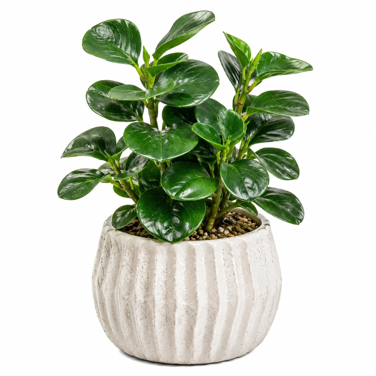 Pianta artificiale in vaso 45 cm verde con vaso in ceramica decorativa