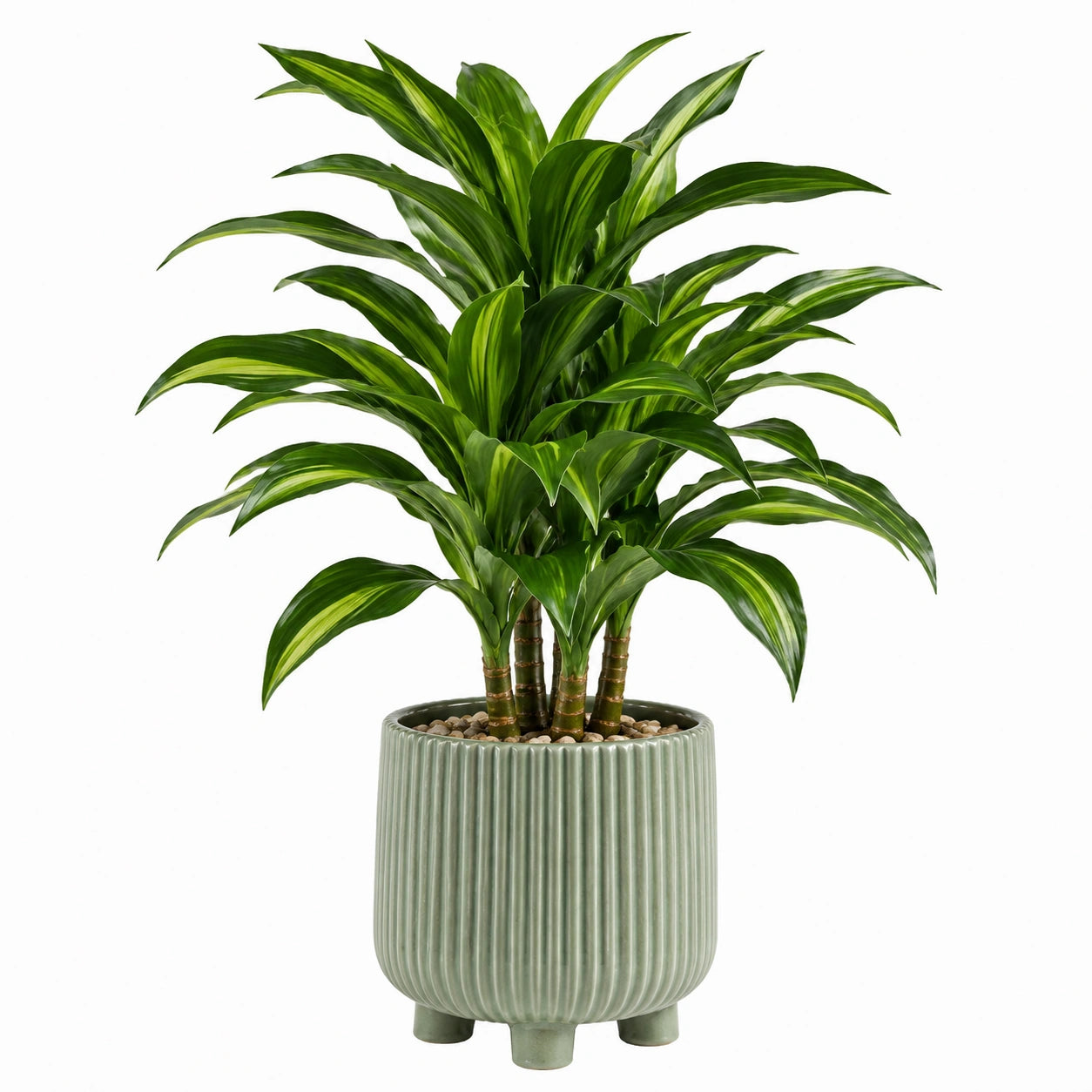 Pianta artificiale Dracena 120 cm in PE e PVC verde con vaso in ceramica decorativo